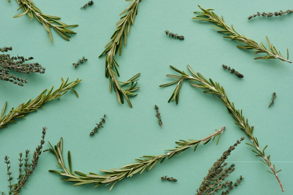 Rosemary Herb for Psychic Abilities
